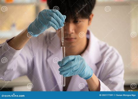 Lab Testing and Analysis Chemical Stock Image - Image of science ...