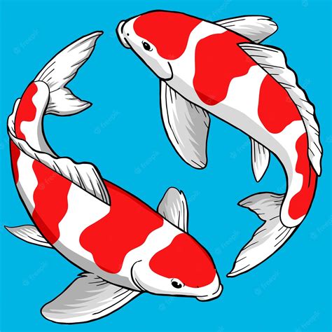 Premium Vector | Set of kohaku koi fish for premium pack