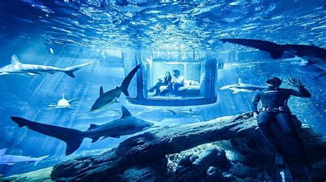 Burj Khalifa – 124th Floor (Non Peak Hours) With Dubai Aquarium & Underwater Zoo Combo Ticket ...