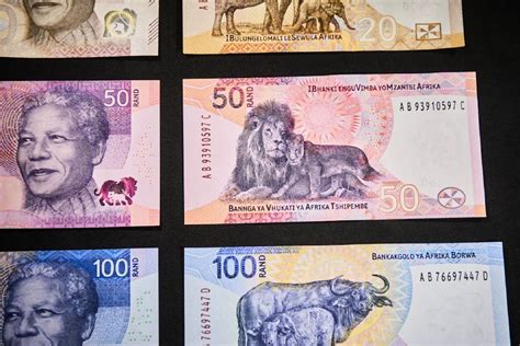 SA’s new banknotes play home to families of the big five