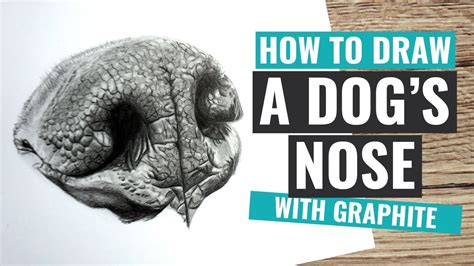 How to Draw a Dog's Nose | Realistic Graphite Pencil Drawing Tutorial - YouTube