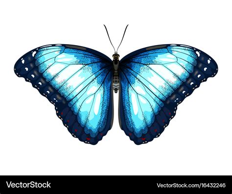 Thư viện hình nền 2899+ Blue background butterfly Miễn phí, chất lượng cao