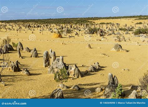 Beautiful View of the Pinnacles Desert before Sunset, Western Australia Stock Photo - Image of ...