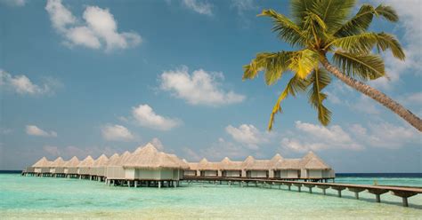 Drift Thelu Veliga Retreat - Budget Maldives