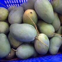 Mangga Harum Manis | Waronline