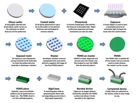 Photolithography:Patterned Surfaces - OpenWetWare