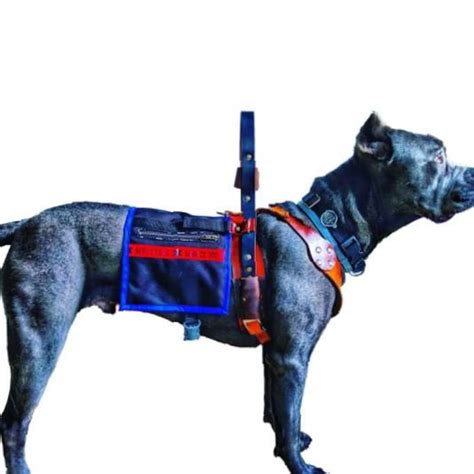 Mobility Service Dog Harness Counterbalance Handle Included - Etsy