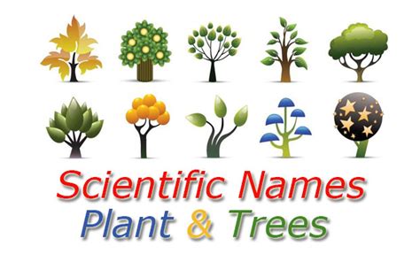 Scientific Names - Common Plant and Trees - AppzOK