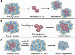 Edelweiss: Cancer Open Access journal | Carcinogenesis Research articles | Open access ...