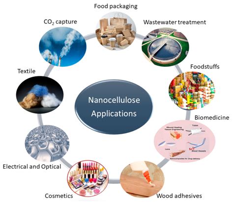 Processes | Free Full-Text | Nanocellulose from Agricultural Wastes: Products and Applications—A ...