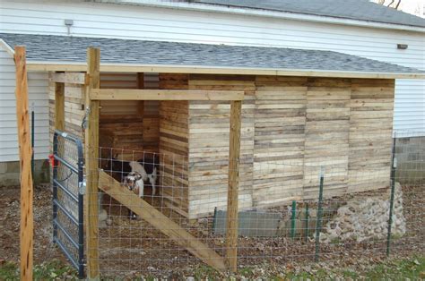 Our Little Backyard Farm: Pallet Goat Shed