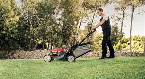 5 Best Honda Lawn Mowers - Aug. 2021 - BestReviews