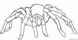tarantula spider coloring Pages Coloring4free  Coloring4Freecom sketch template