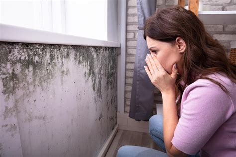 What Are the Health Effects of Mold in Your House?