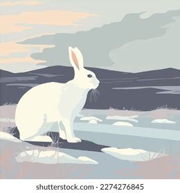 Arctic Hare Snowy Tundra Arctic Animals Stock Vector (Royalty Free) 2273485291 | Shutterstock