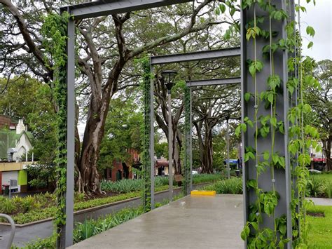 Using Vertical Garden Frames as Plant Support Structures | Tensile Design & Construct