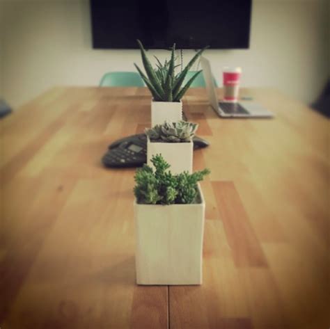 conference room plants at the HD Made office by The Sill | Office plants, Plants, Cacti and ...