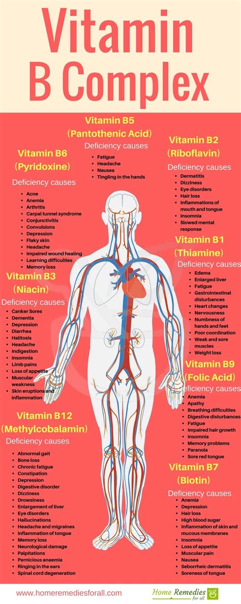 What Causes Vitamin B Complex Deficiency