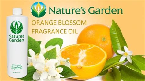 www.naturesgardencandles.com This strong fragrance oil by Nature's ...