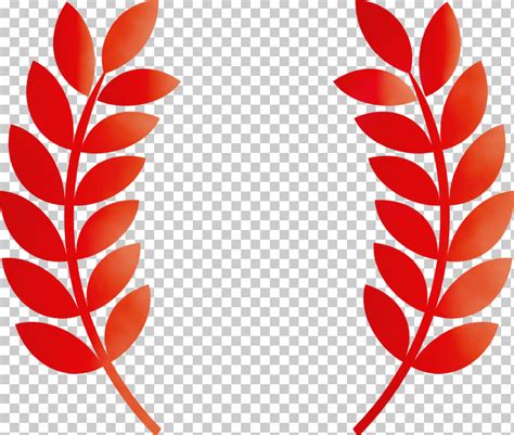 Olive Leaf PNG, Clipart, Bay Laurel, Extract, Interior Design Services ...