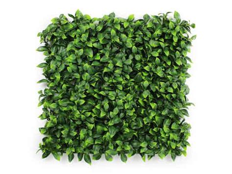 Artificial Hedges NZ - Shop for Hedge Walls at Trade Tested