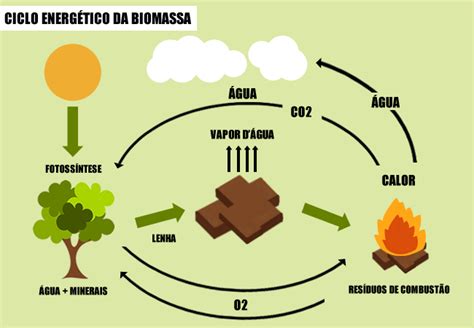 Principais Fontes de Energia: Energia de biomassa