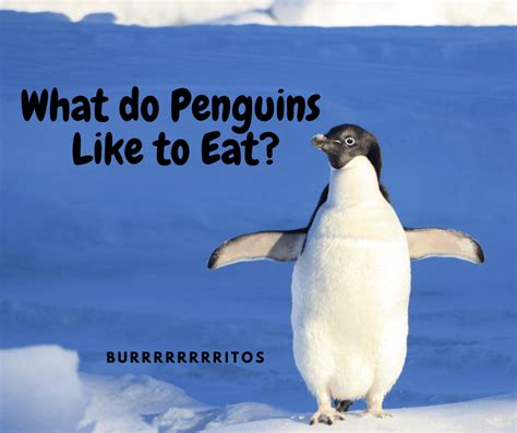 10 Fun Penquin Jokes | I Love Penguins | Dad jokes funny, Best kid ...