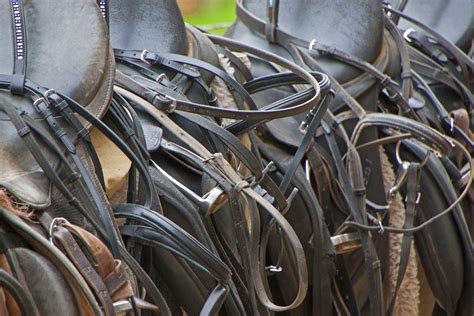 Horse Tack and Equipment – Equestrian Boots and Bridles