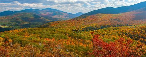 Fall Foliage in New York | Autumn Leaves, Scenic Drives