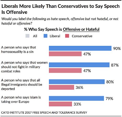 Free Speech vs Hate Speech In American Life | Unpolitically Correct