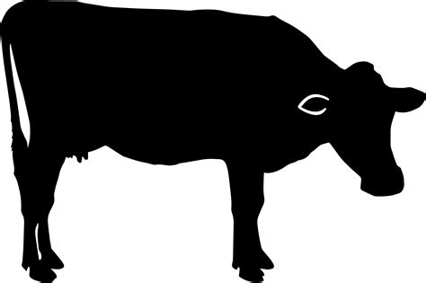 Cattle Silhouette