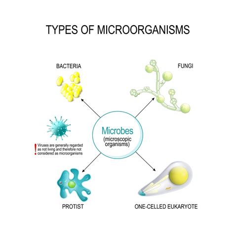 Classification of Microorganisms: - Pharmacy Scope