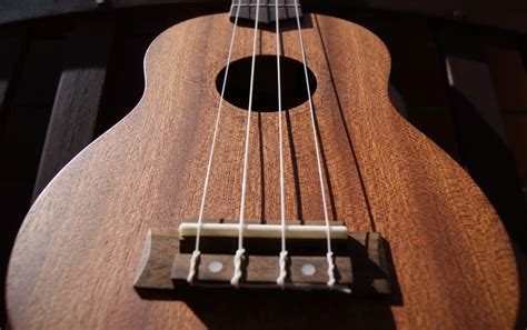 Best Ukulele Strings - A Complete Guide