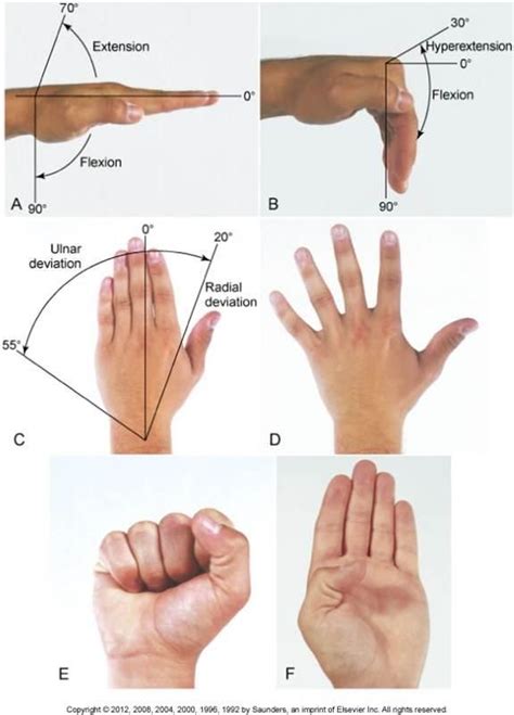 Normal Range of Motion | Hand therapy, Hand therapy exercises, Occupational therapy