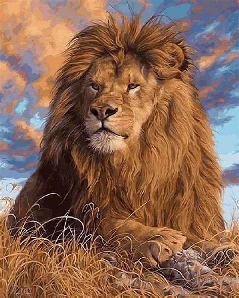 Wild Lion Paint By Numbers - Numeral Paint Kit