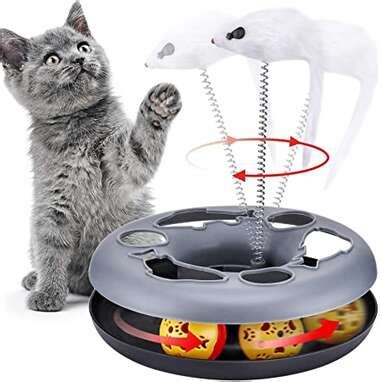 11 Best Interactive Cat Toys On Amazon - DodoWell - The Dodo