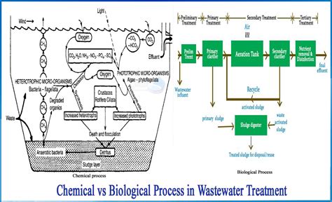 What are the difference between Chemical and biological process