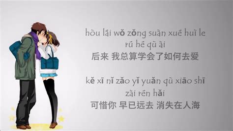 Hou Lai 后来 - Rene Liu 刘若英 - Lyric Pin Yin - YouTube