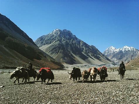 Elevation of Kongur Tagh, Akto, Kizilsu, China - Topographic Map - Altitude Map