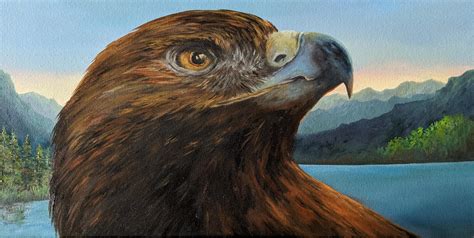 Golden eagle painting (2) by MikkaDraiman on DeviantArt