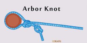 How to Tie an Arbor Knot? Variations, Steps, Video & Uses