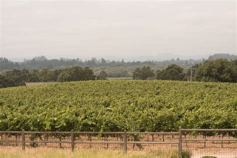 California Wine Country Guide — The Adventure Beckons