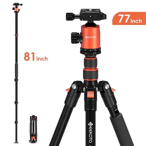 Top 10 Best Camera Tripods in 2021 Reviews | Buyer’s Guide