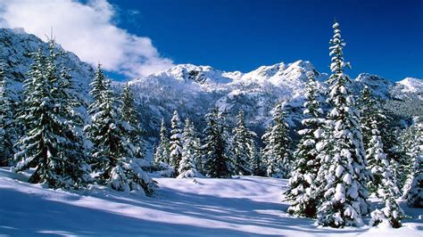 Snow Scenes Desktop Background | alpine See-Wildnis Washington an | Winter wallpaper, Winter ...