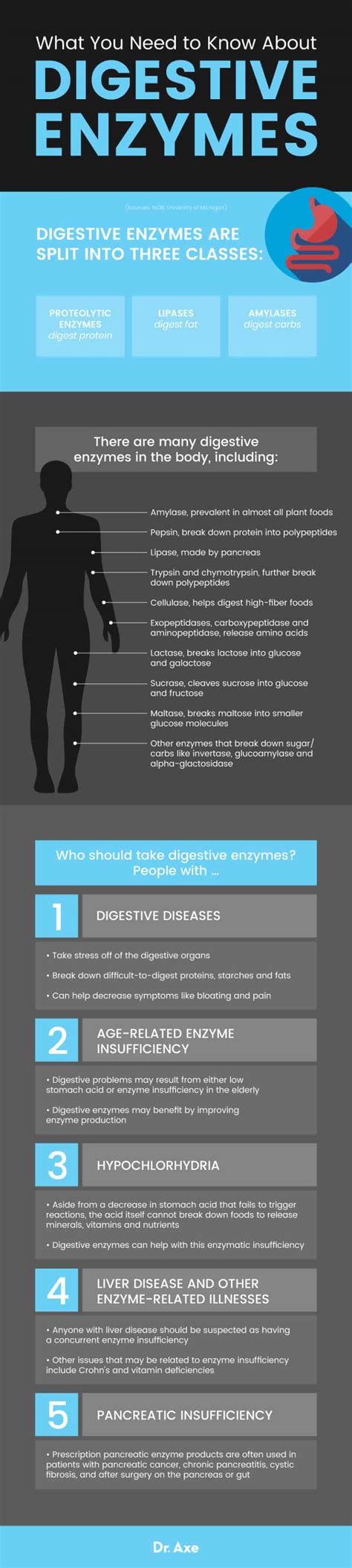 Digestive Enzymes Benefits, Foods, Functions and More - Dr. Axe