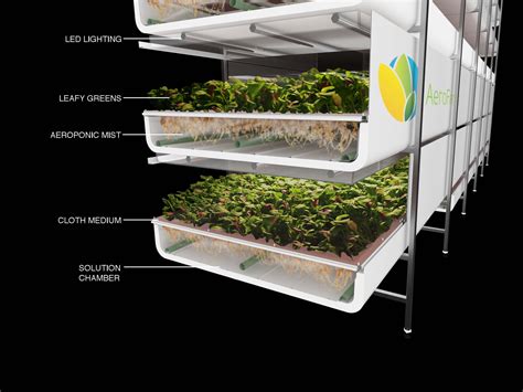 AeroFarms' $30 million vertical garden set for construction in New Jersey