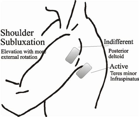 Scapula, Diff'rent strokes and Extensions on Pinterest