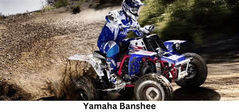 Yamaha Banshee Complete Engine For Sale: Features & Guides! - Smart ...