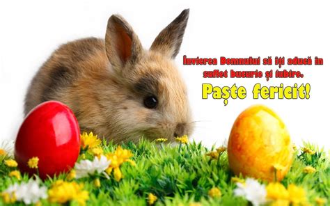 Imagine cu iepuraș și ouă vopsite - felicitări cu imagini de Paște 2018 Easter Bunny Images ...