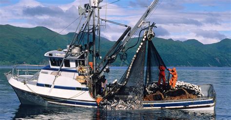 Fish Populations Have Declined 4.1 Percent Due to Climate Change